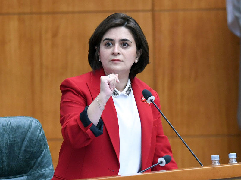 وزيرة الشؤون السابقة د. غدير أسيري