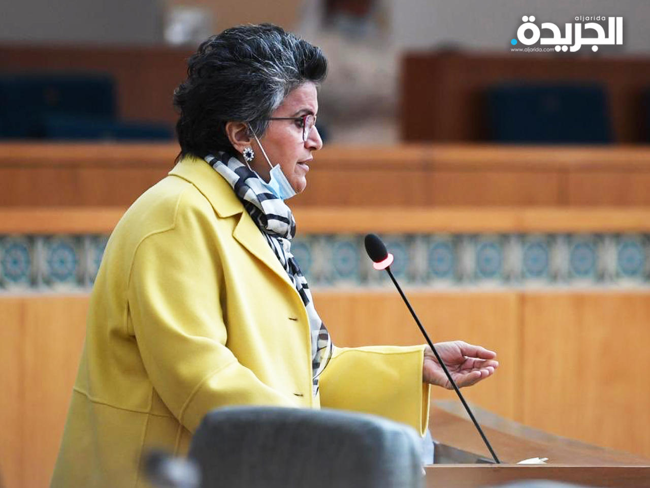 النائب صفاء الهاشم