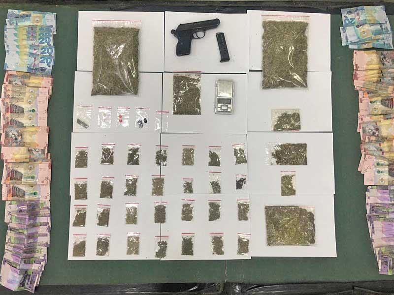 جانب من المضبوطات