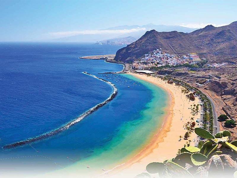 يا فرحة ما تمت!