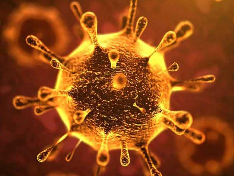 فيروس كورونا