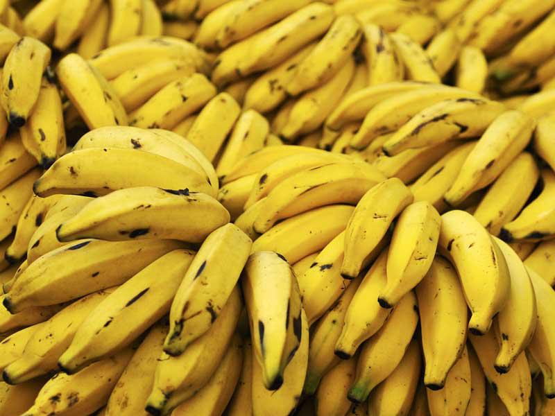 شحنة موز لتهريب الكوكايين