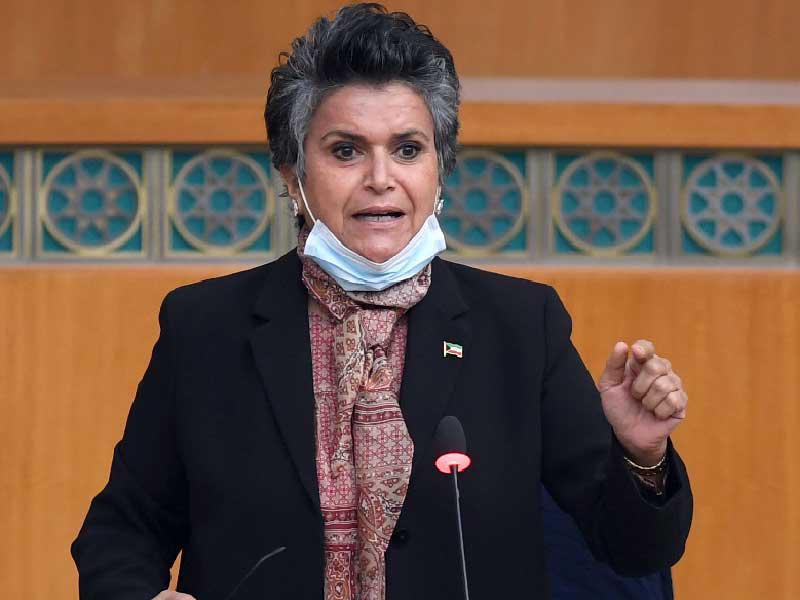 النائبة صفاء الهاشم