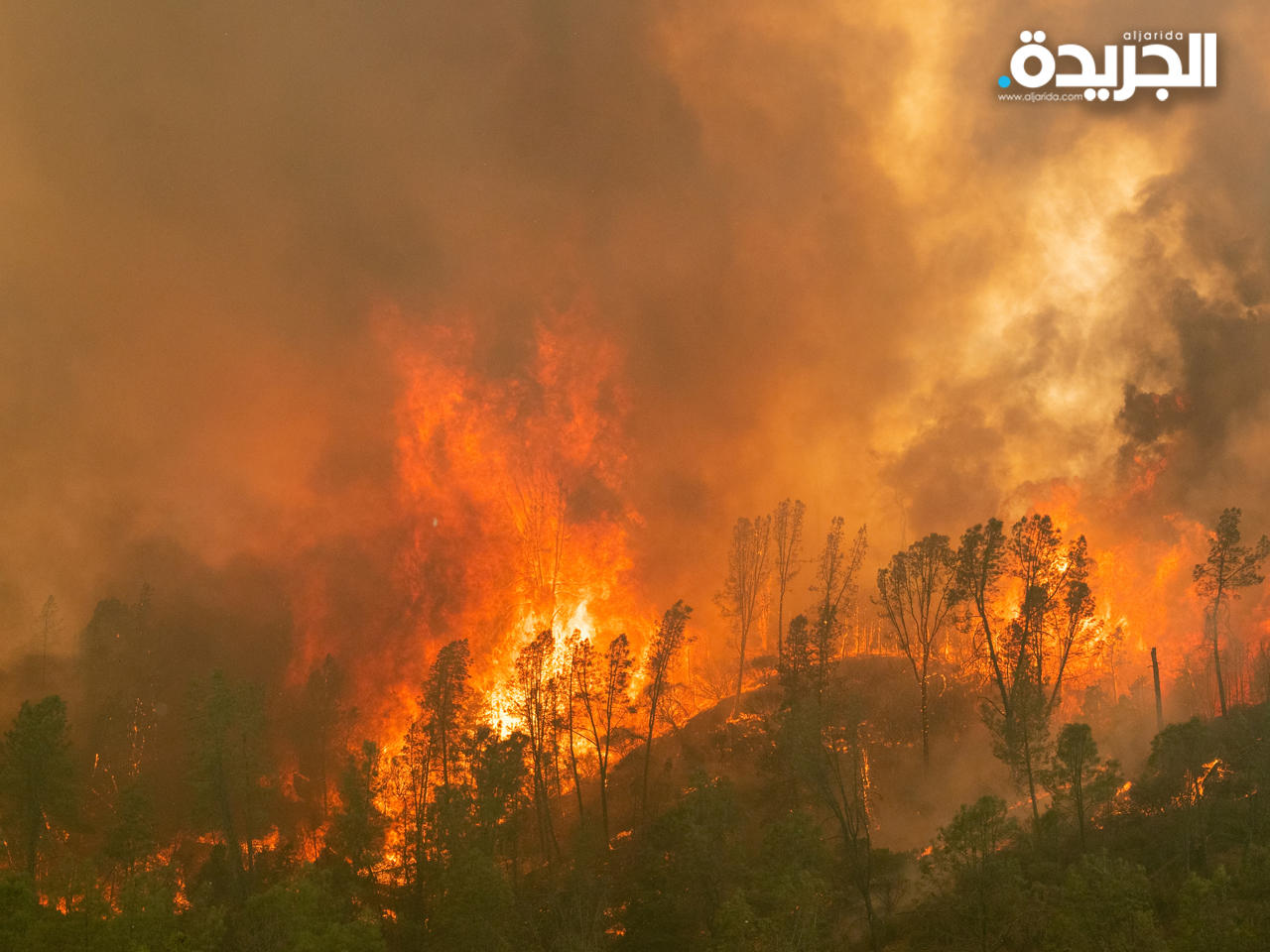 حرائق غابات كاليفورنيا