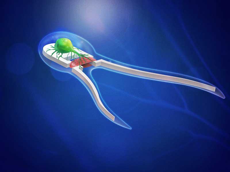  روبوتات مجهرية بحجم شعرة