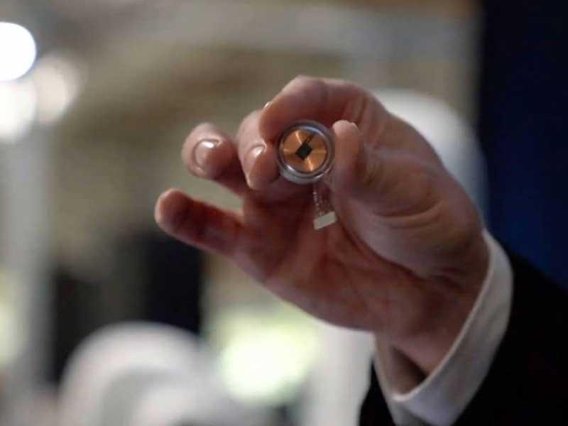 شريحة بحجم قطعة نقد معدنية زرعت بدماغ خنزير