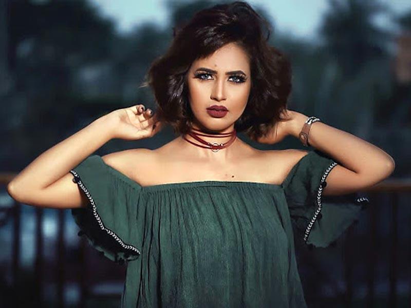 الفنانة رنا سماحة