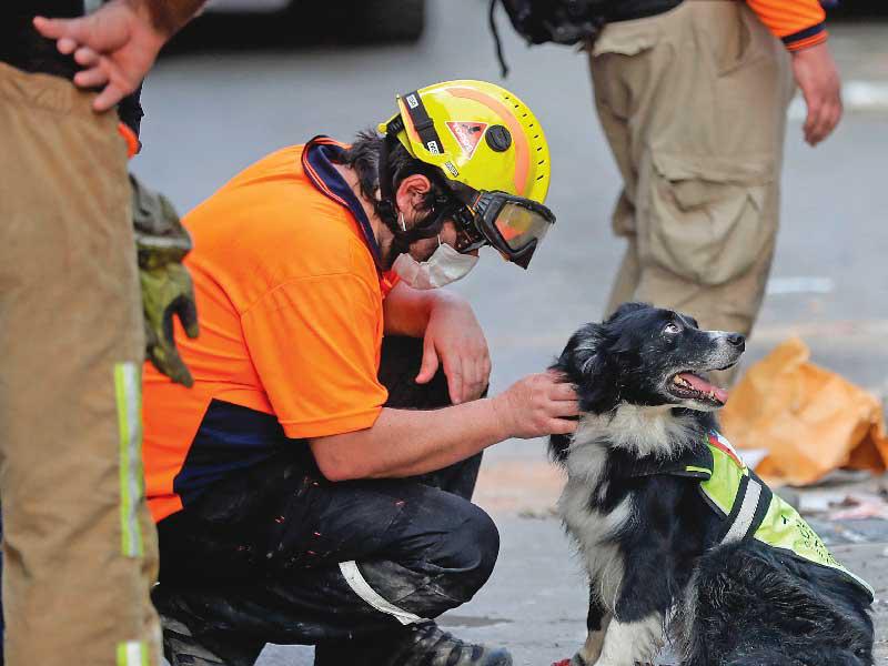الكلب «فلاش» برفقة أحد الأعضاء في فريق الإنقاذ التشيلي (أ ف ب)