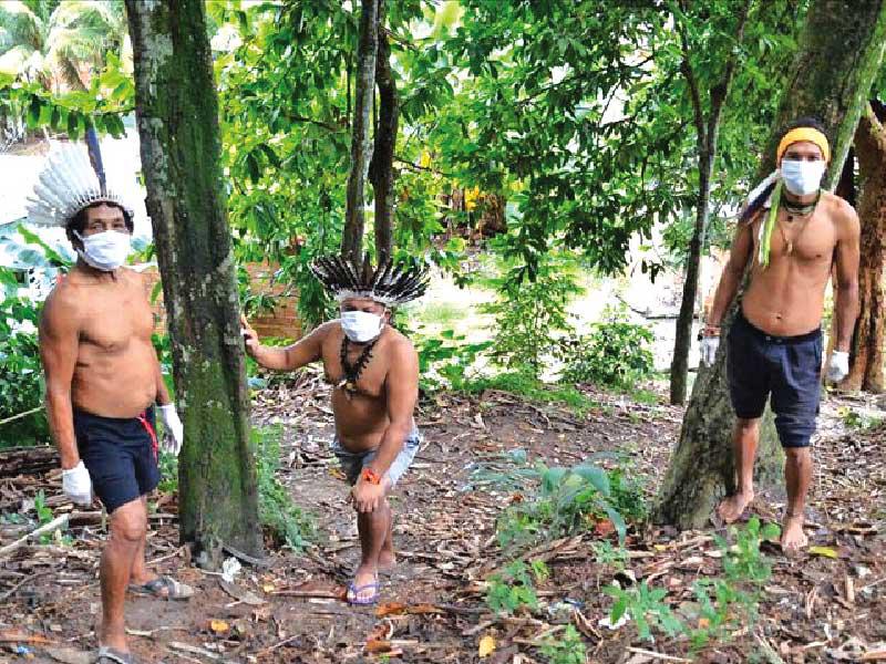 مشروع فيروغراو البرازيلي عدو قبائل الأمازون 