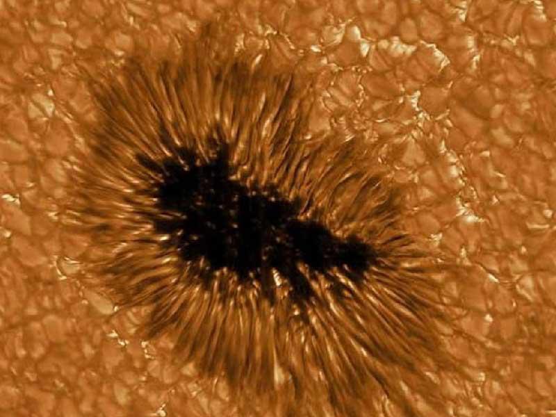 بقعة شمسية تمت ملاحظتها بدقة عالية بواسطة تلسكوب جريجور