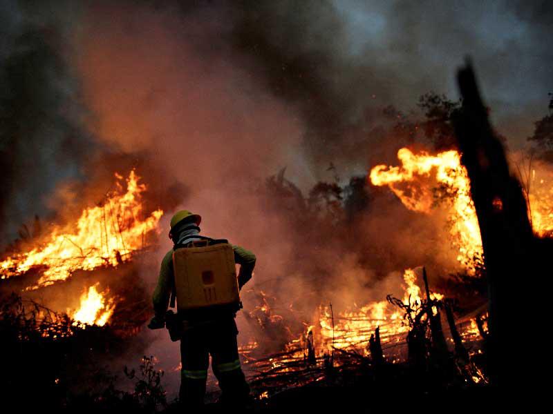 الحراق تهدد الفهود البرازيلية