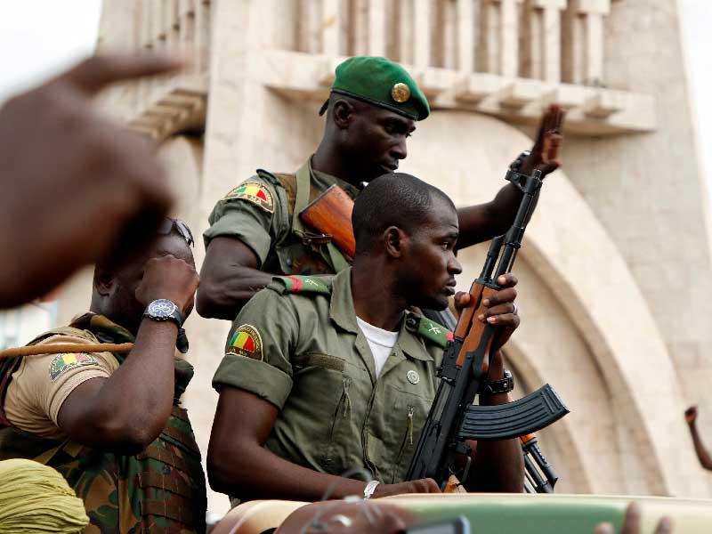 قوات الأمن المالي 