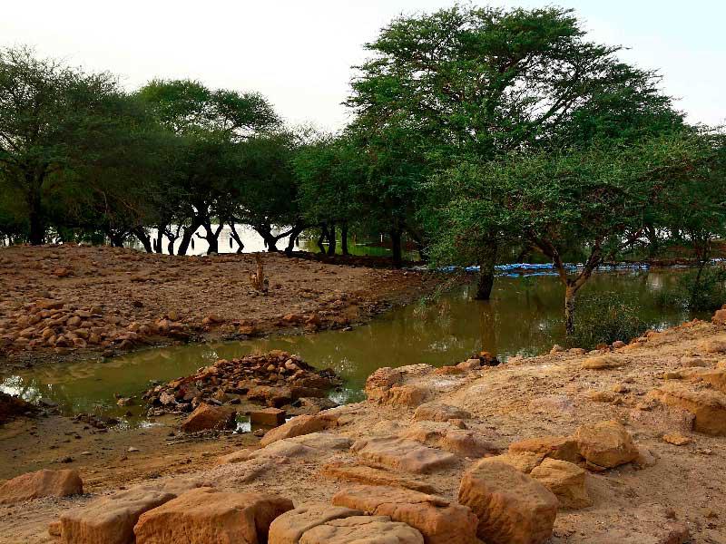 إحدى القرى المتضررة من السيولn