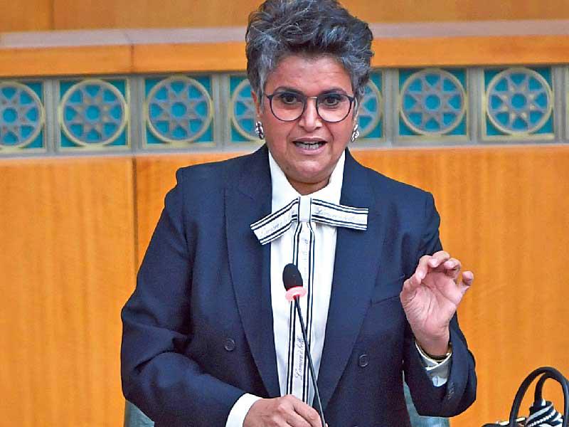  النائبة صفاء الهاشم