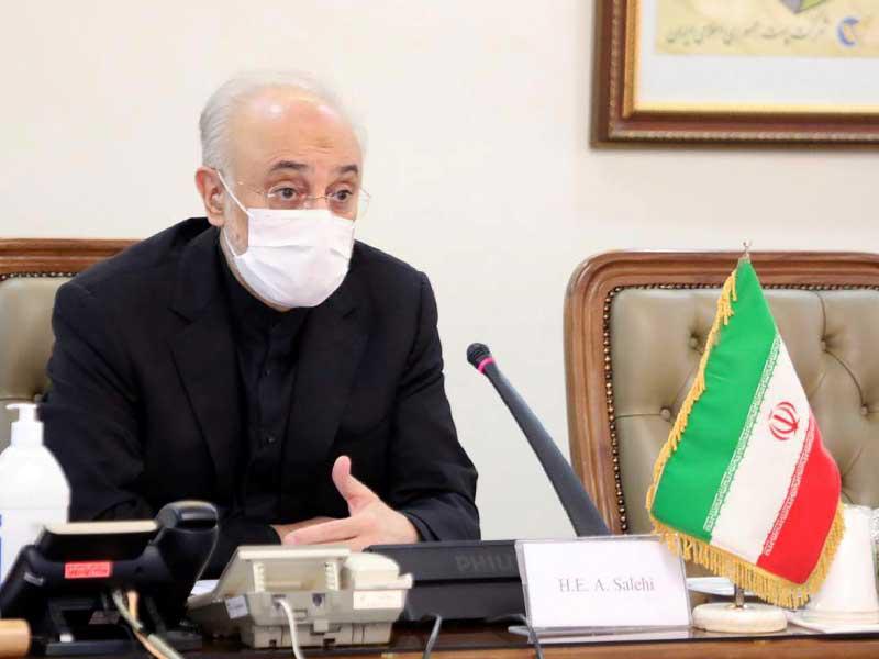 رئيس منظمة الطاقة الذرية الإيرانية علي أكبر صالحي 