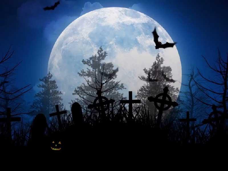 بدر الهالوين أزرق ومرئي للجميع