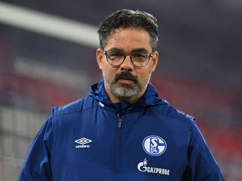 نادي شالكه يقيل مدربه دافيد فاغنر