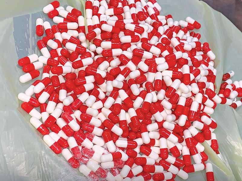 الحبوب المضبوطة