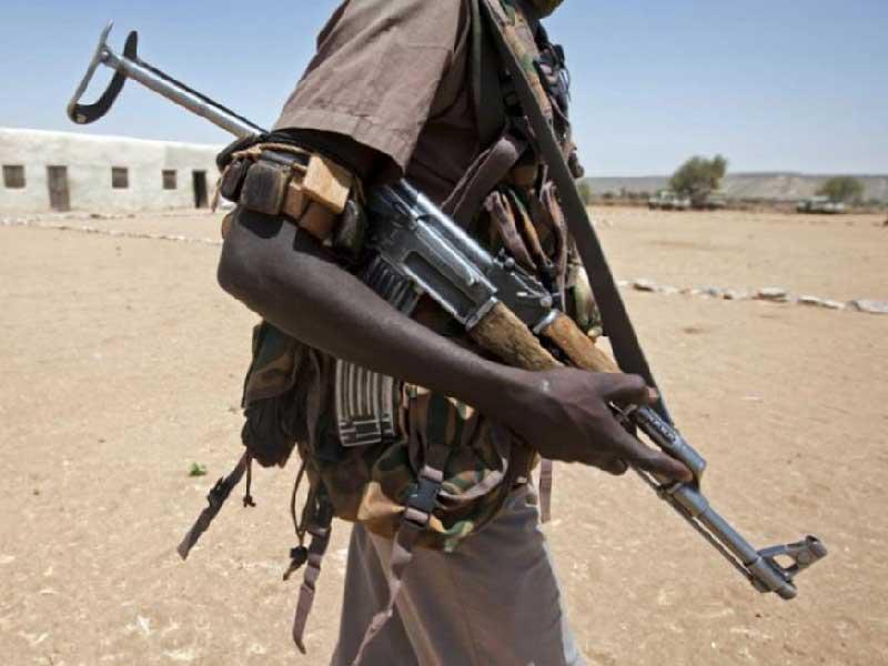 الأفراد المسلحة في السودان 