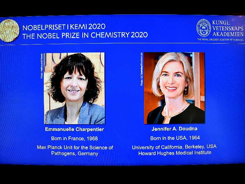 فوز العالمتين؛ الفرنسية إيمانويل شاربنتييه، والأميركية جنيفر دودنا، بجائزة نوبل للكيمياء لعام 2020