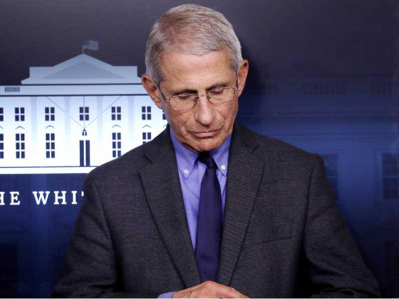  كبير خبراء الأمراض المعدية في الولايات المتحدة أنتوني فاوتشي