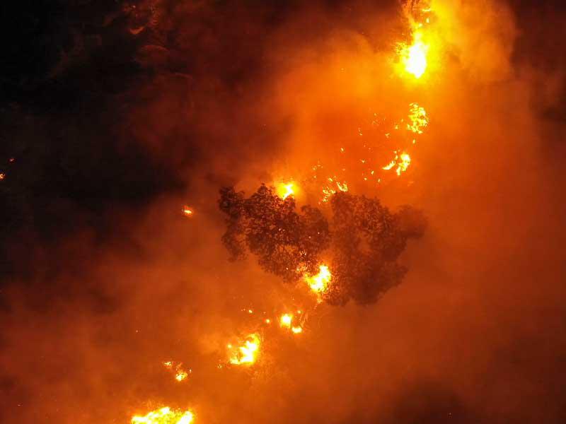 حرائق سورية ولبنان «تحت السيطرة»