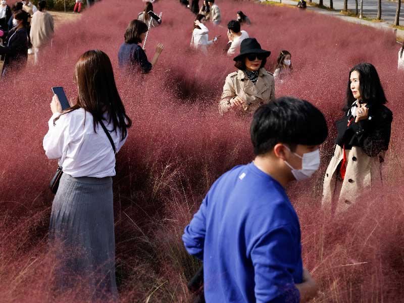 كوريون جنوبيون يلتقطون صوراً في إحدى الحدائق العامة أمس رغم تفشي فيروس كورونا     (رويترز)