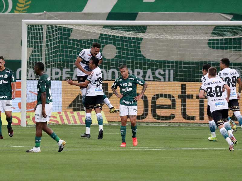 فريق بالميراس البرازيلي 