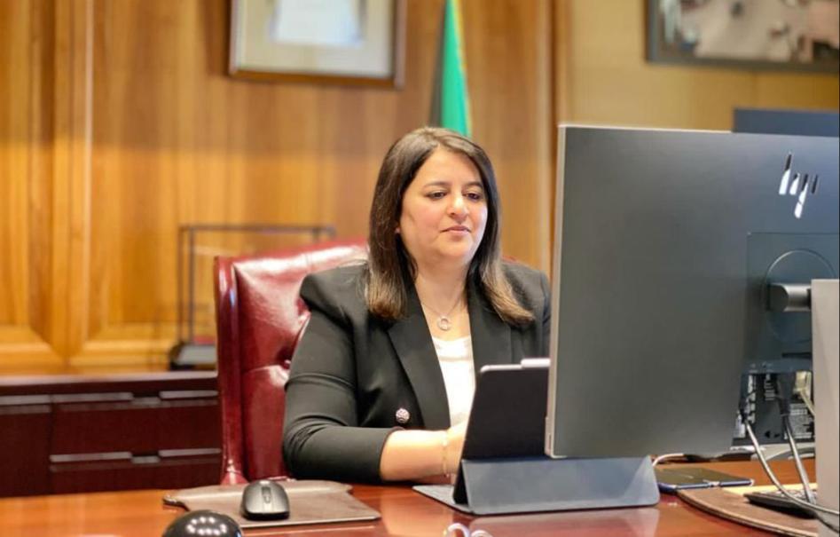 وزيرة الأشغال العامة وزيرة الدولة لشؤون الإسكان د. رنا الفارس 