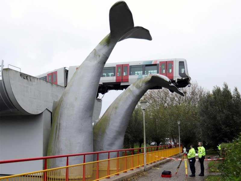 ذيل الحوت أنقذ القطار من كارثة 