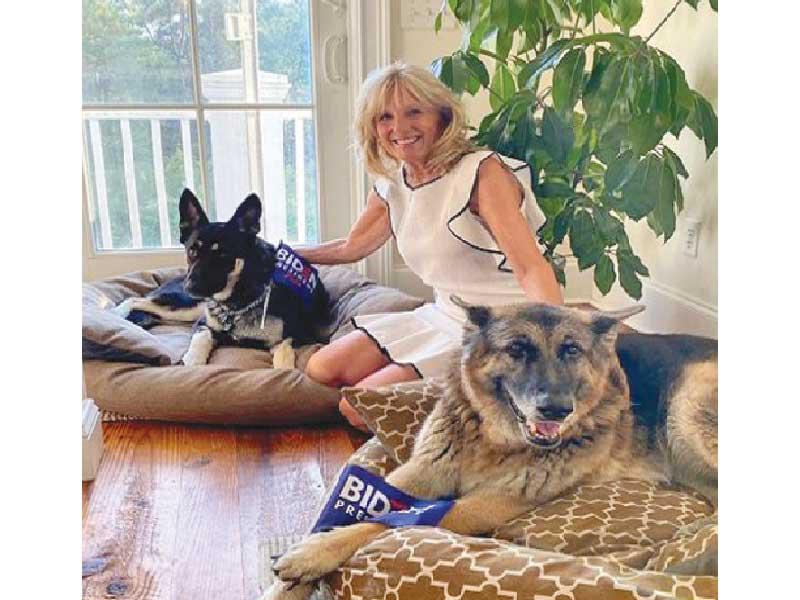 جو بايدن يعيد الكلاب للبيت الأبيض