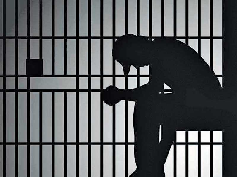 الجنايات تبرئ متهمين اثنين من حيازة أسلحة دون الحصول على ترخيص