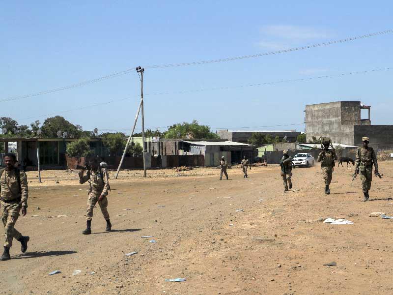 الحملة العسكرية في إقليم تيغراي 