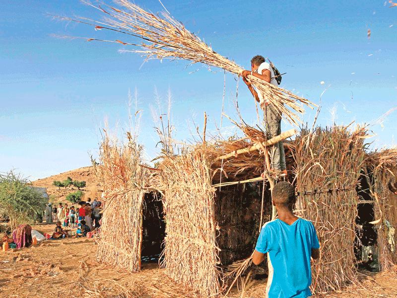 لاجئون إثيوبيون يبنون أكواخاً من القش على حدود السودان t(أ ف ب)