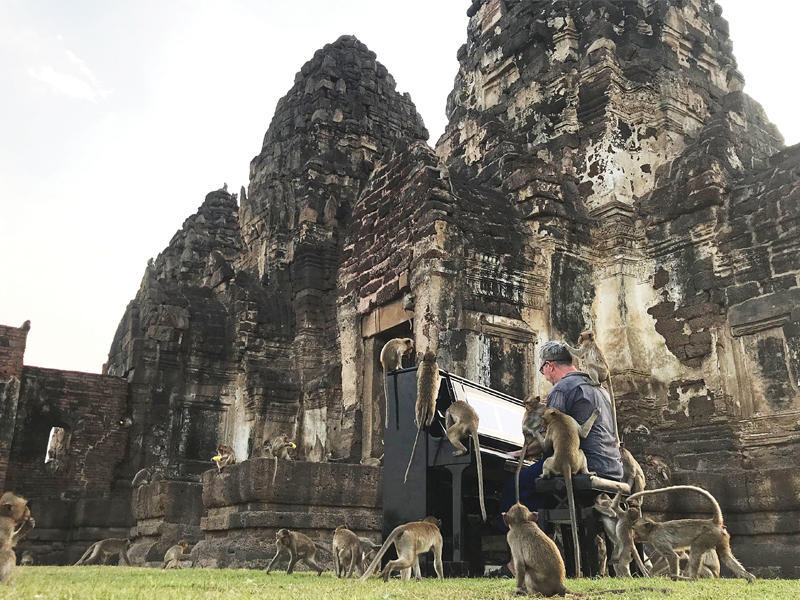 قردة تايلند تطرب للموسيقى وتأكلها!