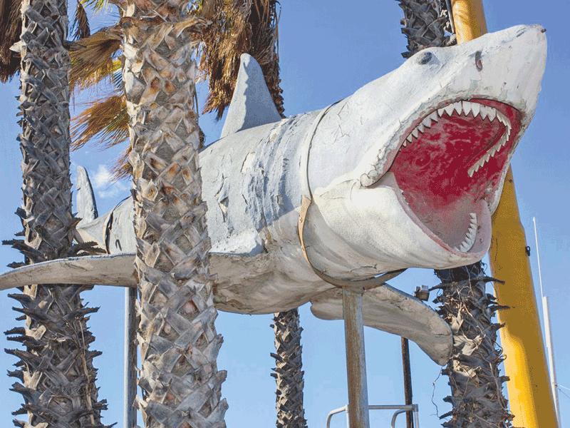 مجسم سمكة القرش