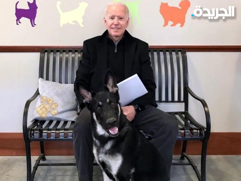  الرئيس الأميركي المنتخب جو بايدن بصحبة كلبه ميجور