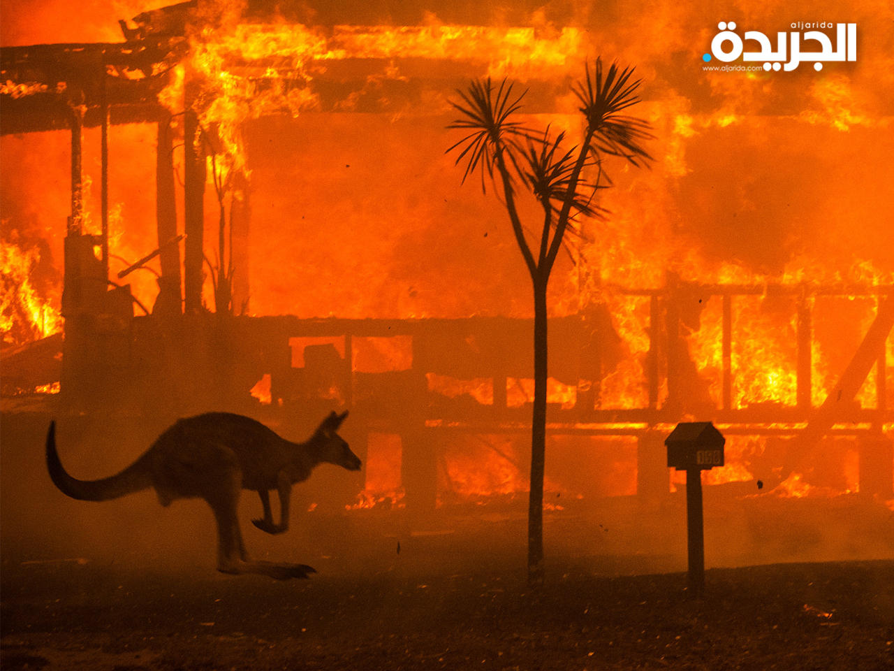 حرائق ضخمة تجتاح غابات جزيرة فريزر الأسترالية