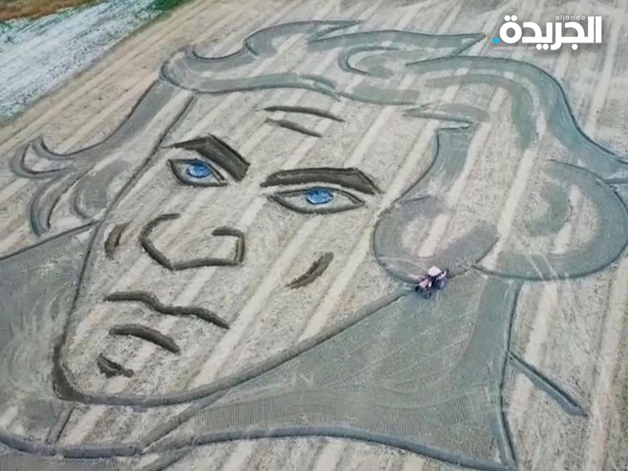 لوحة بيتهوفن في حقل بشمال إيطاليا