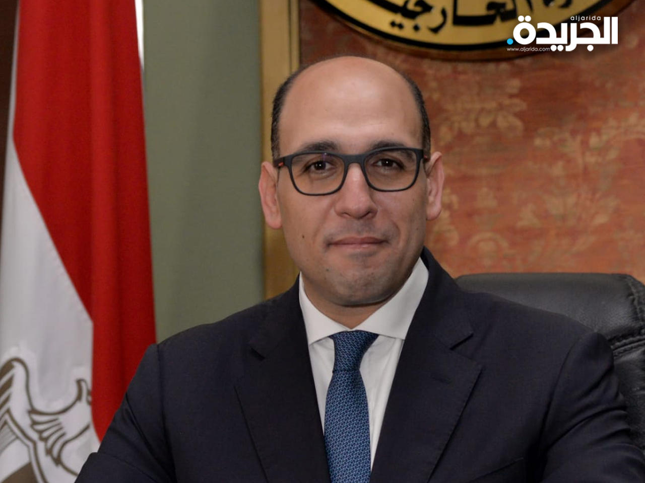 المتحدث الرسمي باسم وزارة الخارجية المصرية أحمد حافظ