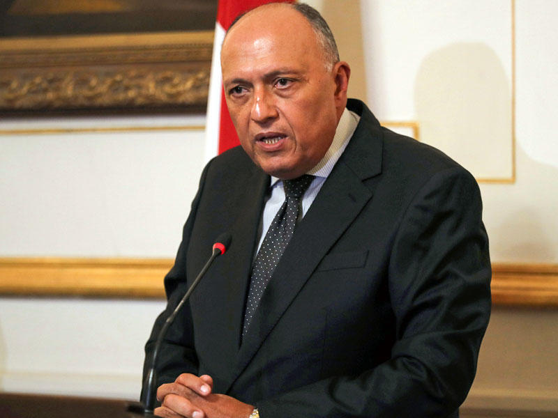 وزير الخارجية المصري سامح شكري