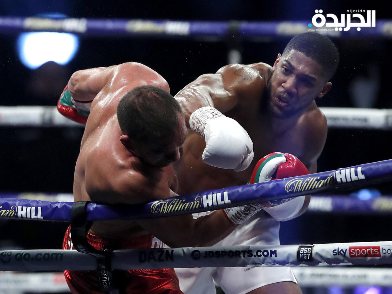 لحظة تسديد جوشوا الضربة القاضية 