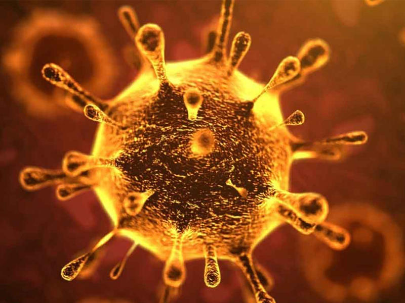 كورونا الجديد