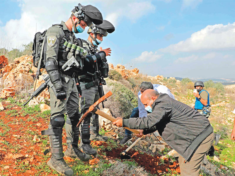 فلسطيني يزرع شجرة زيتون في الضفة تحت أنظار عنصرين أمنيين إسرائيليين (أ ف ب) 