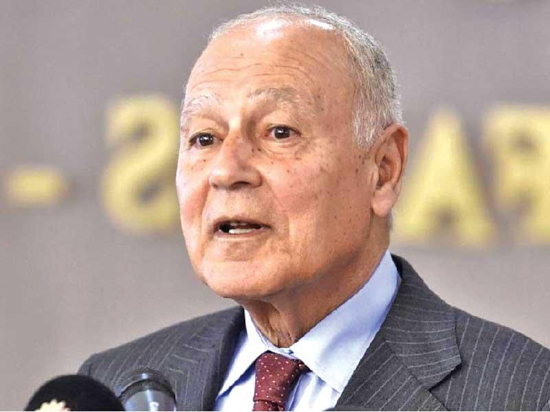 الأمين العام لجامعة الدول العربية أحمد أبوالغيط