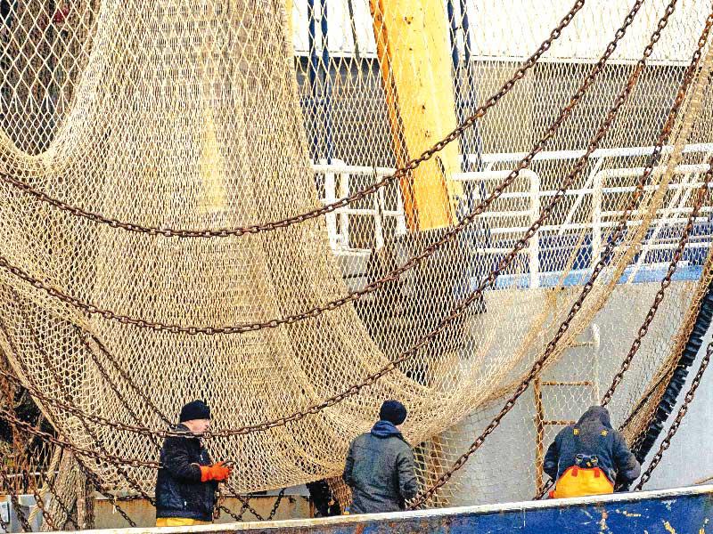 صيادون يجهّزون شبكاتهم  في ميناء ايجمويدن الهولندي عشية تطبيق اتفاق «بريكست» (أ ف ب)