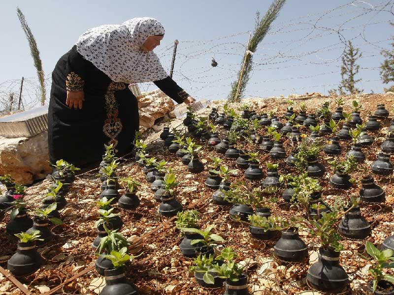فلسطينيون بأراضيهم لأول مرة منذ 46 عاماً