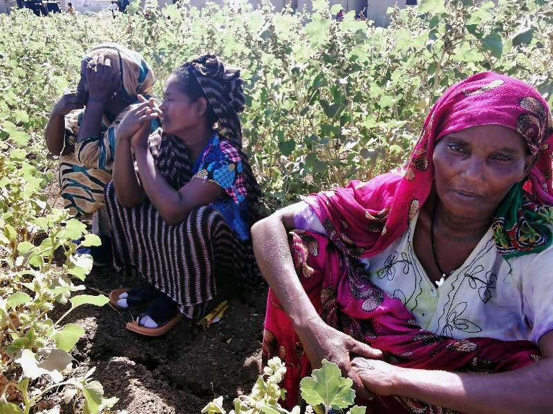 إثيوبيات فررن من صراع تيغراي إلى منطقة الفشقة الحدودية السودانية أواخر نوفمبر الماضي (رويترز)