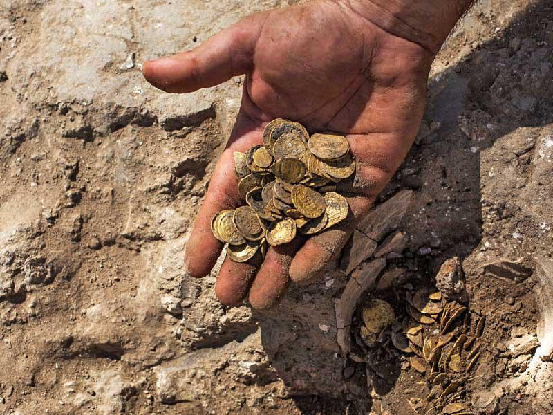 الصقر يكشف لمراقبه كنزاً بمليون دولار!