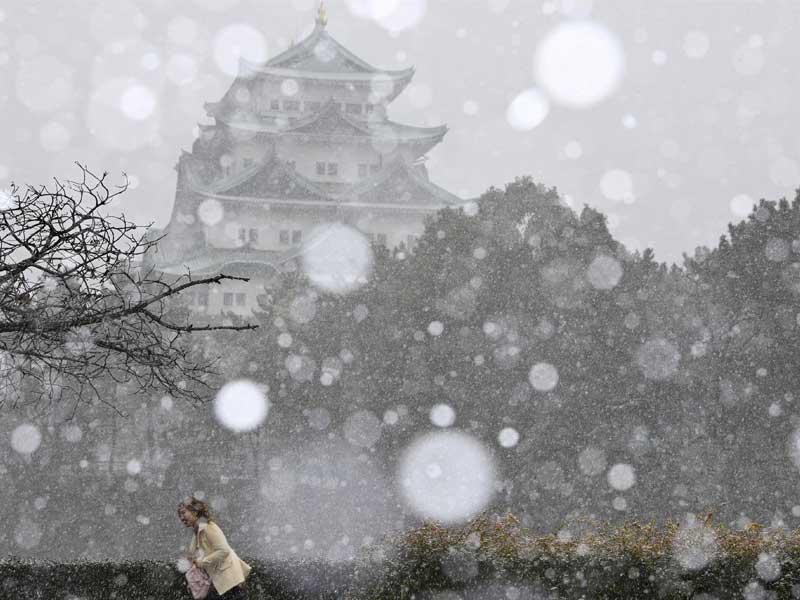 ثلوج اليابان